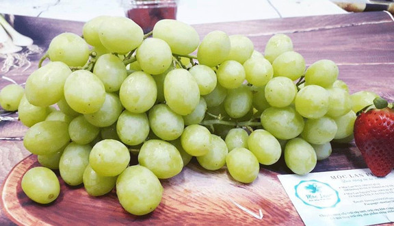 Mộc Lan Fruit - Lý Tự Trọng