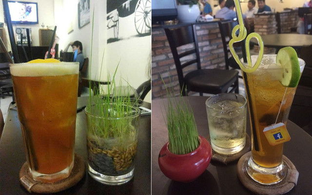 Hoàng Thị Cafe - Bà Hạt