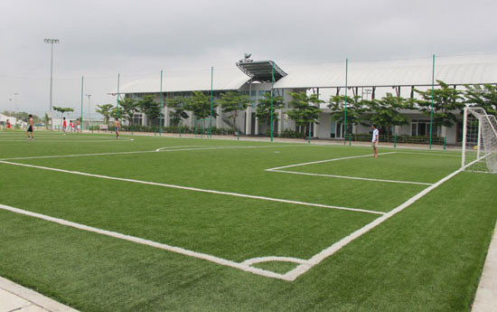 Sân Bóng Đá Cỏ Nhân Tạo