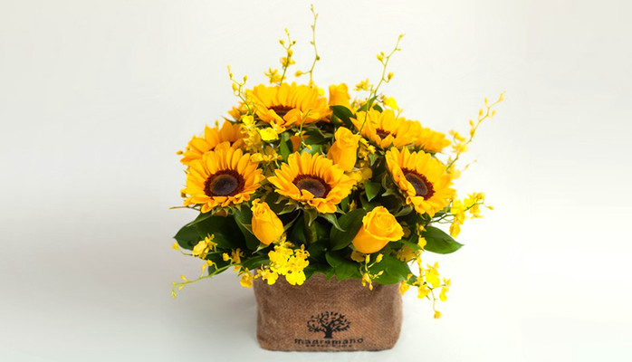 Shop Hoa Bằng Lăng - Trung Kính