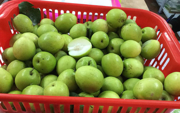 Chợ Tử Tế - Cửa Hàng Rau Sạch