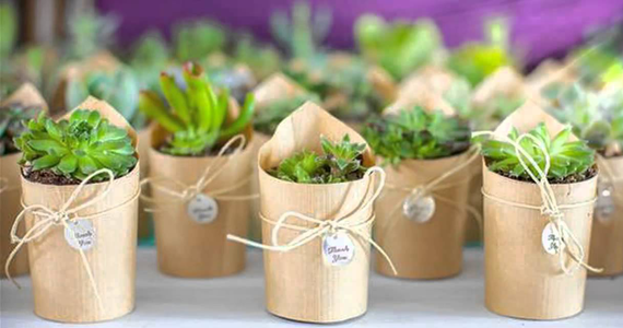 Flower Box - Đinh Tiên Hoàng