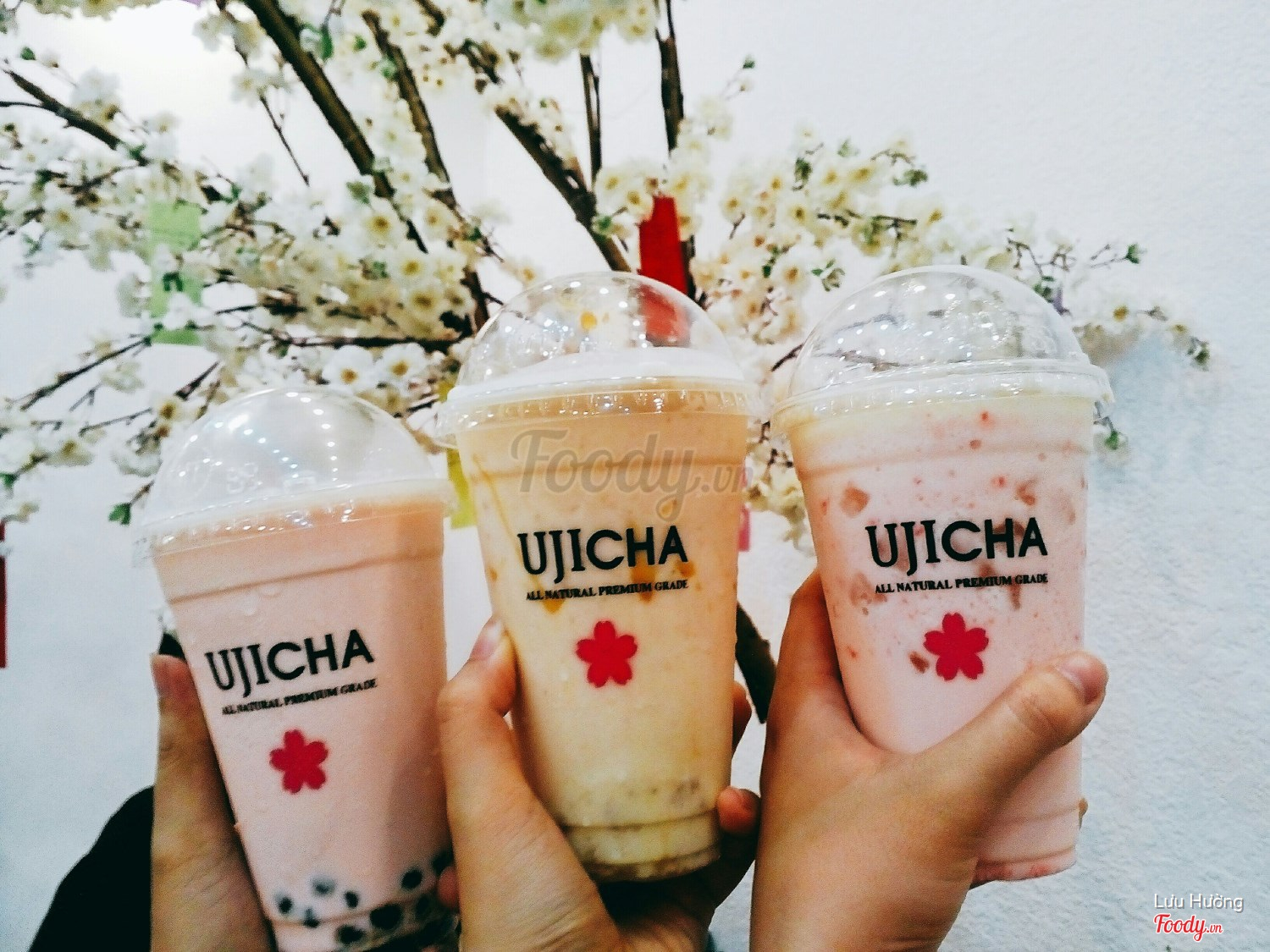 Trà sữa UjiCha