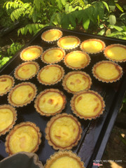 Bánh tart