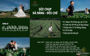 Chụp ảnh Đà Nẵng - Đồi Chè