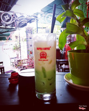 Sâm dứa sữa