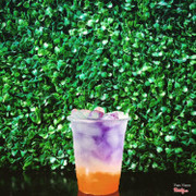 Soda đậu biếc