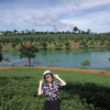 Vịt Con