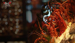 Red Chilli Seafood Buffet - Chloe Gallery