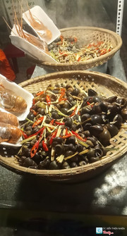 Các loại ốc hấp sả