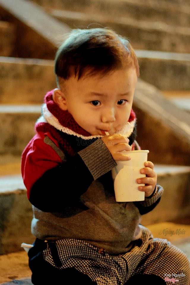 Con nít cũng rất ghiền cà phê sữa tươi ở đây, thơm mùi cà phê nhưng rất nhẹ, không làm mất ngủ