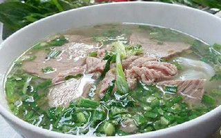 Bò