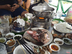 Lẩu cá bống mú