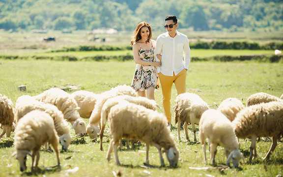 Nupakachi - Wedding Photography