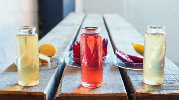 Reply89 - Trà Kombucha - Shop Online