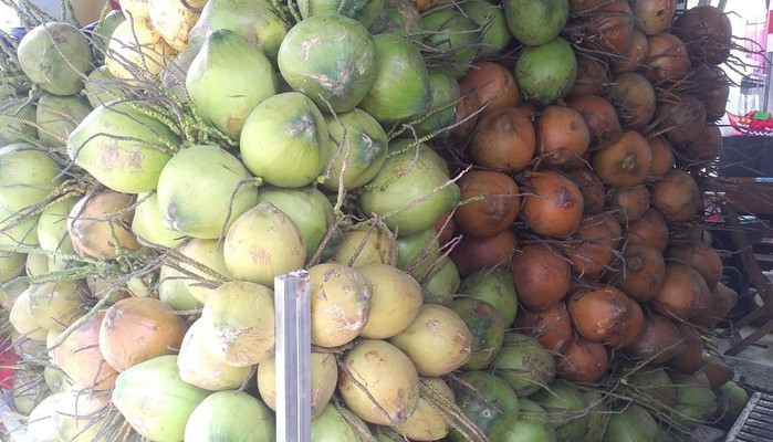 Fresh Coconut Ben Tre House - Chè Dừa