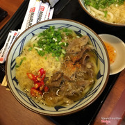 mì udon
