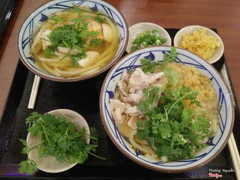 mì udon