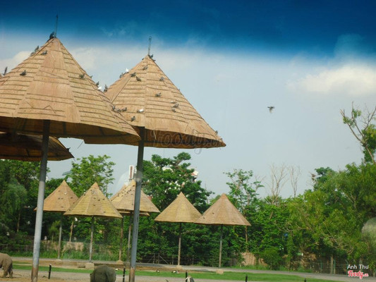 Những lán trú trong Marine Park cho chim trời