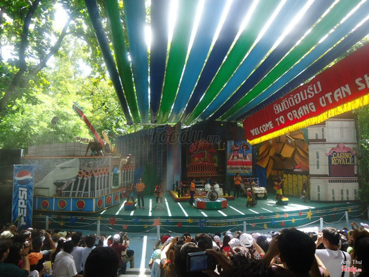 Show khỉ nhỏ và ít khán giả hơn 