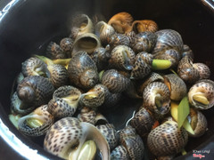 óc bông hấp xả