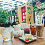 Trà hoa cúc Tây Tạng + Bạc xỉu + Bánh phô mai