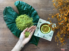 Một buổi sáng Hà Nội ở Ohi quả không có gì bằng. Không gian xanh mát tĩnh lặng ngắm đường phố tấp nập. Thêm chút cốm và cốc trà cam nóng, đủ thấy Hà nội đáng yêu thế nào. Phục vụ rất dễ chịu và nhiệt tình. Không gian chia nhiều góc đều thú vị. Luôn là nơi mình ghé đến bất cứ thời điểm nào trong ngày. 