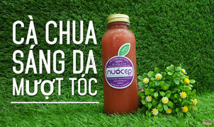 Nước Ép Cà Chua
Nước ép sử dụng 100% Công nghệ ép lạnh coldpressed, không đường, nguyên chất.
