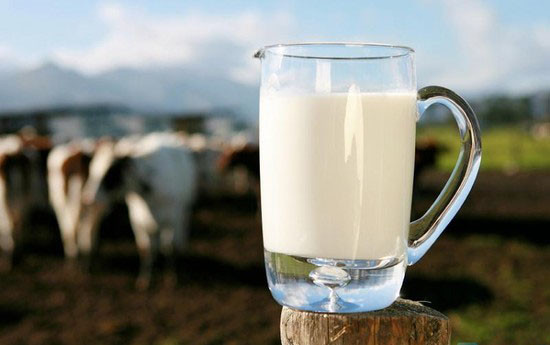 Mạnh Lan - Sữa Tươi Ba Vì