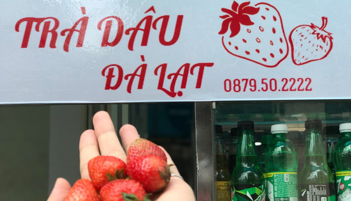 Trà Dâu Đà Lạt - Take Away  - Thống Nhất