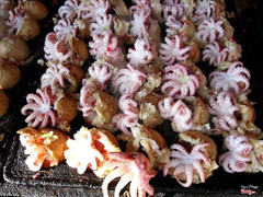 Bánh bạch tuộc nhân khổng lồ