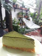 Matcha Cheesecake