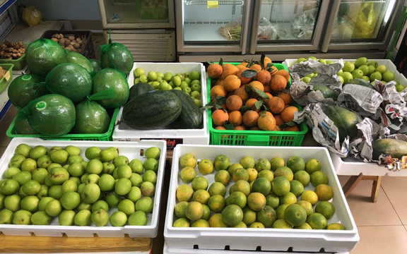 Top Green - Thực Phẩm Sạch - Hoàng Sâm