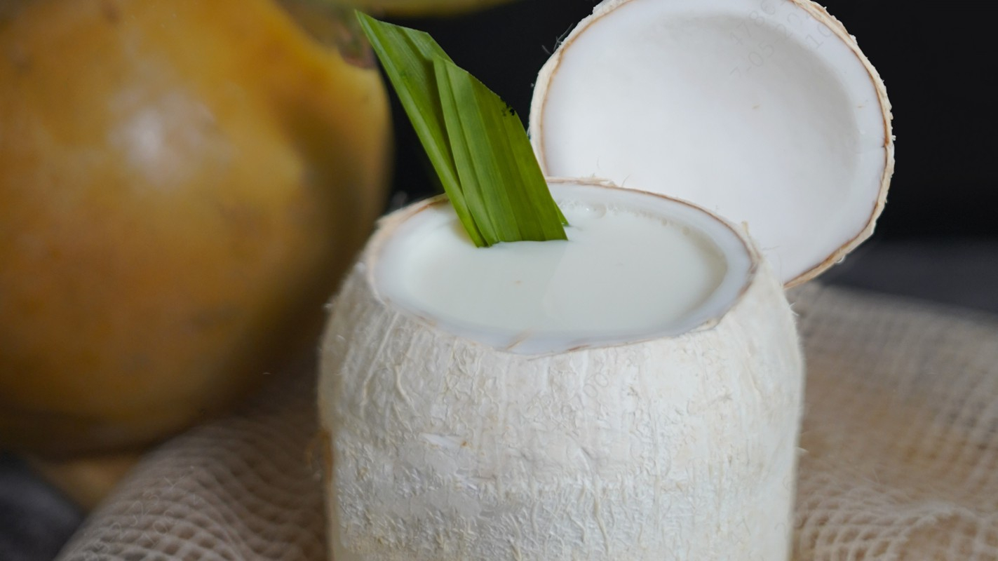 Út Rio Lữ Quán Dừa Bến Tre - Phan Trung ở Thành Phố Biên Hòa, Đồng Nai ...