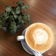 Latte nóng