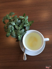 Trà mật ong chanh vàng