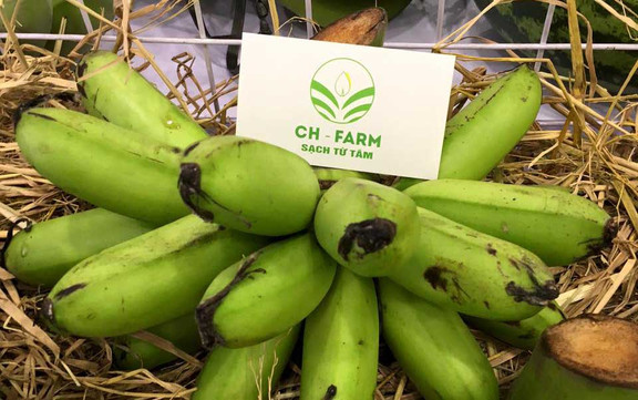 Ch-Farm - Thực Phẩm Sạch