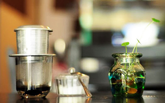 Fish Coffee