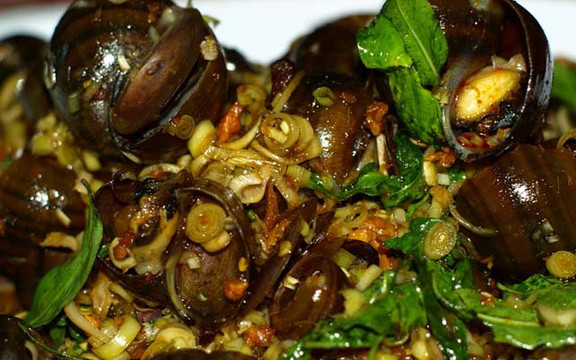 Ốc 339 - Ốc Bình Dân