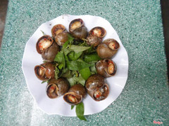 Ốc bưu (hấp xả/ nướng nước mắm - recommended): 20k/ phần