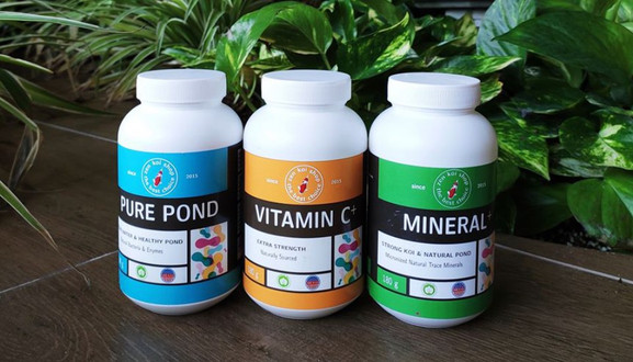 Zen Koi Shop - Cửa Hàng Cá Cảnh