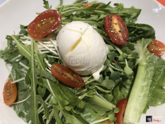 Fresh Burrata Cheese Salad