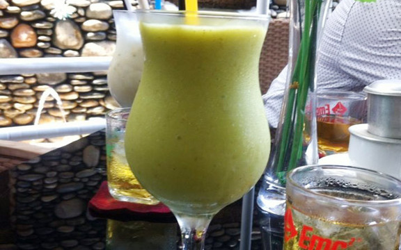 Hoa Điệp Vàng Cà Phê - Âu Cơ