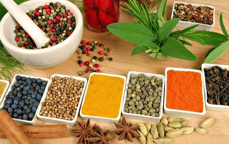 Nhà Thuốc Y Học Cổ Truyền