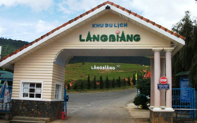 Mimosa - LangBiang