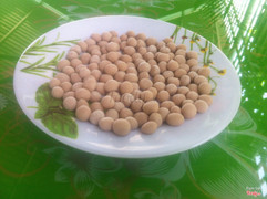 Trân châu nhà làm Bamboo