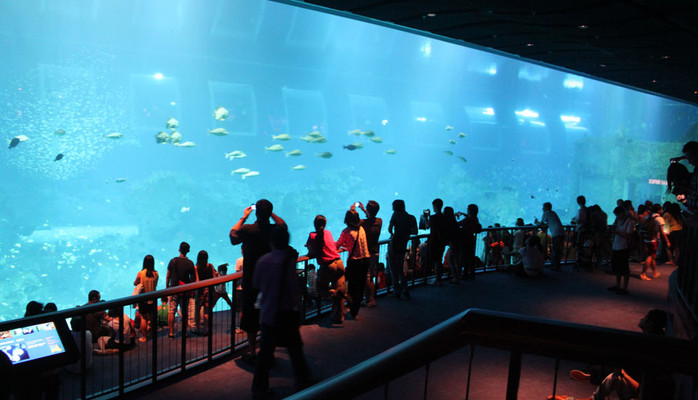 S.E.A Aquarium Sentosa