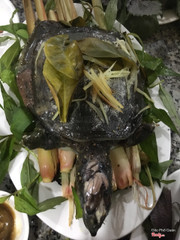 Ba ba hấp muối. Sả chanh ngon tuyệt chỉ 249k