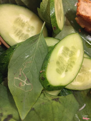 Cận cảnh mấy lát dưa leo-dính cặn dơ