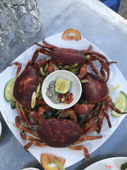 Cua núi lên mâm mọi người ơi!